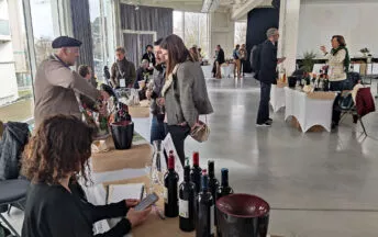 Des stands pour un salon professionnel du vin bio à la halle de la brasserie