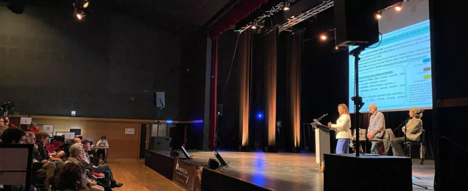 une conférence lors d'un événement d'entreprise à la salle Le Ponant