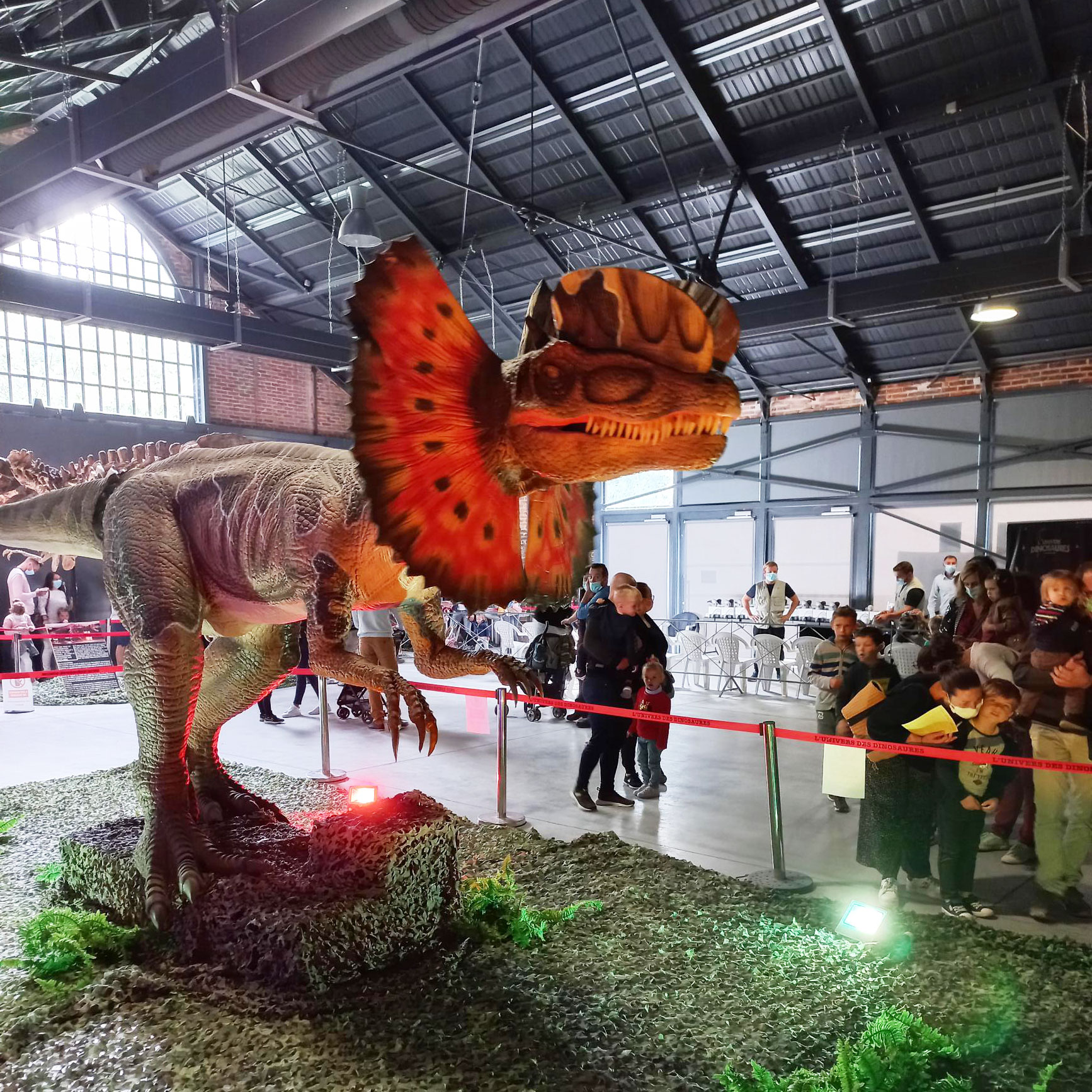Citédia Event Halle De La Courrouze Univers Des Dinosaures (3)